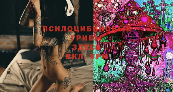прущие крисы Горнозаводск