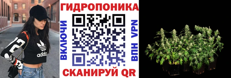 Канабис семена  KRAKEN онион  Валдай 